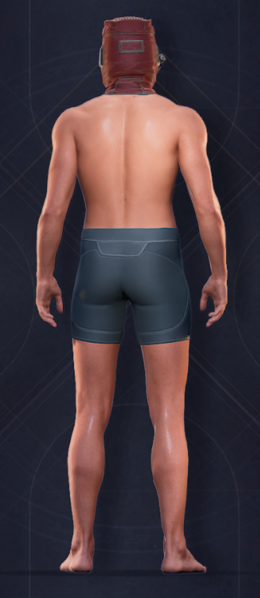 File:Duneman Heavy Mask Back Male.png