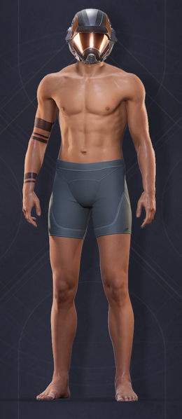 File:Choam Heavy Helmet 3.png