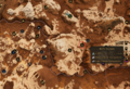 Thumbnail for version as of 20:37, 21 September 2026