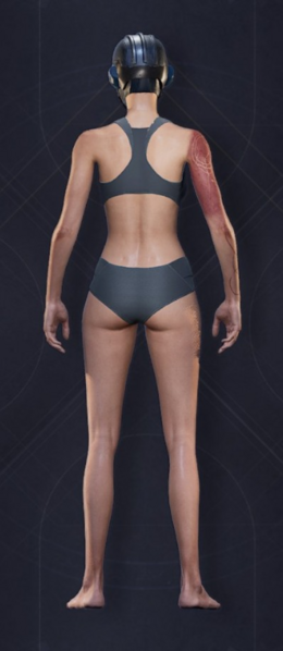 File:Menu Garments Feminine Chosen Helmet.png