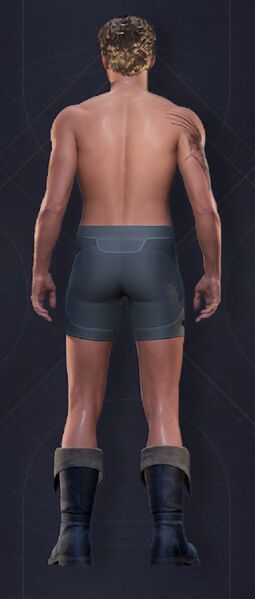 File:Mercenary Scout Boots Masculine.jpg