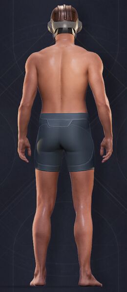 File:Mercenary Scout Helmet Male Back.jpg