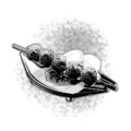 Thumbnail for version as of 14:18, 5 June 2025