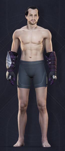 File:Menu Garments Masculine Acheronian Gauntlets.jpg